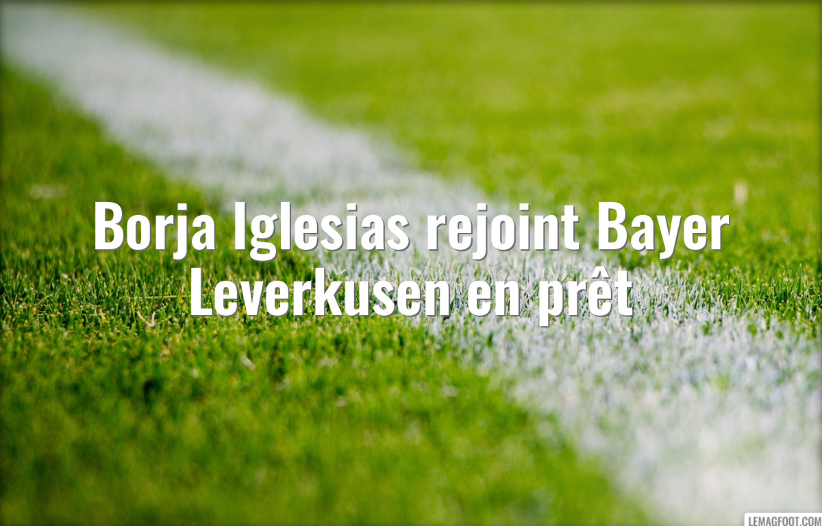 Borja Iglesias rejoint Bayer Leverkusen en prêt