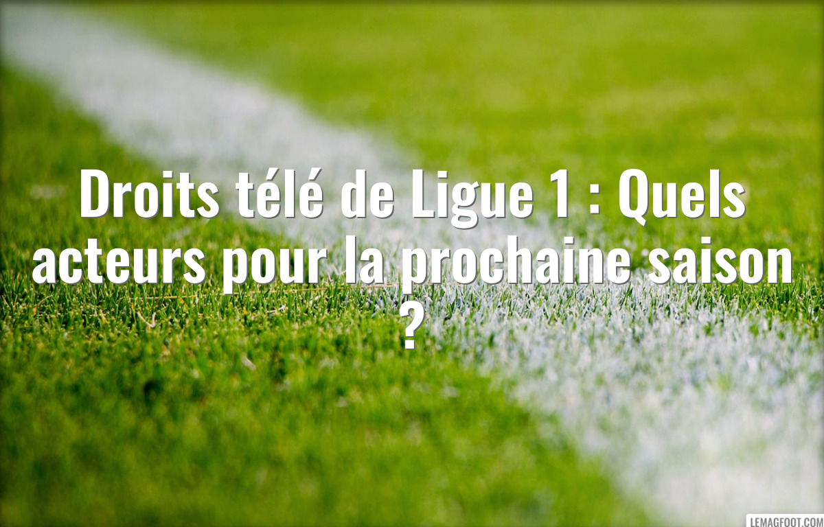 Droits télé de Ligue 1 : Quels acteurs pour la prochaine saison ?