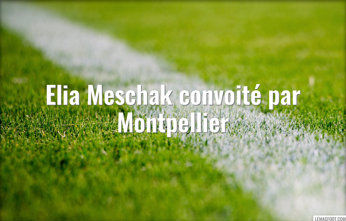 Elia Meschak convoité par Montpellier