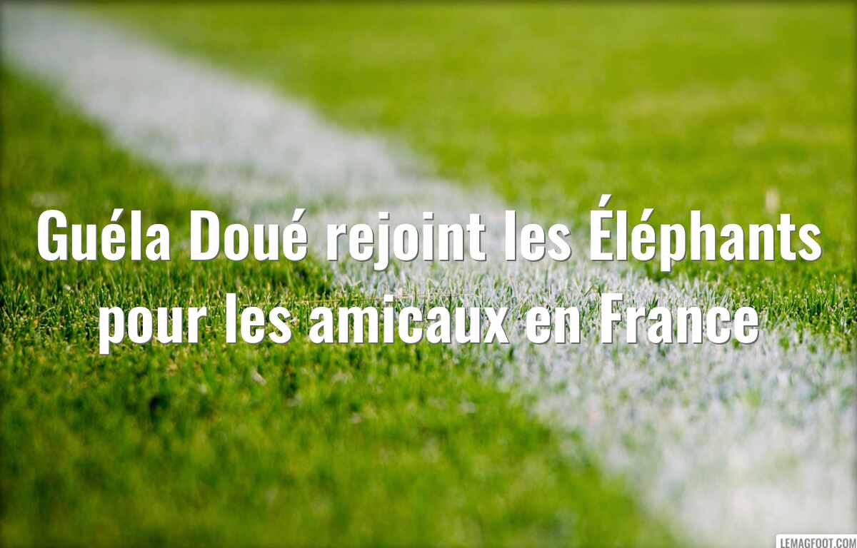 Guéla Doué rejoint les Éléphants pour les amicaux en France