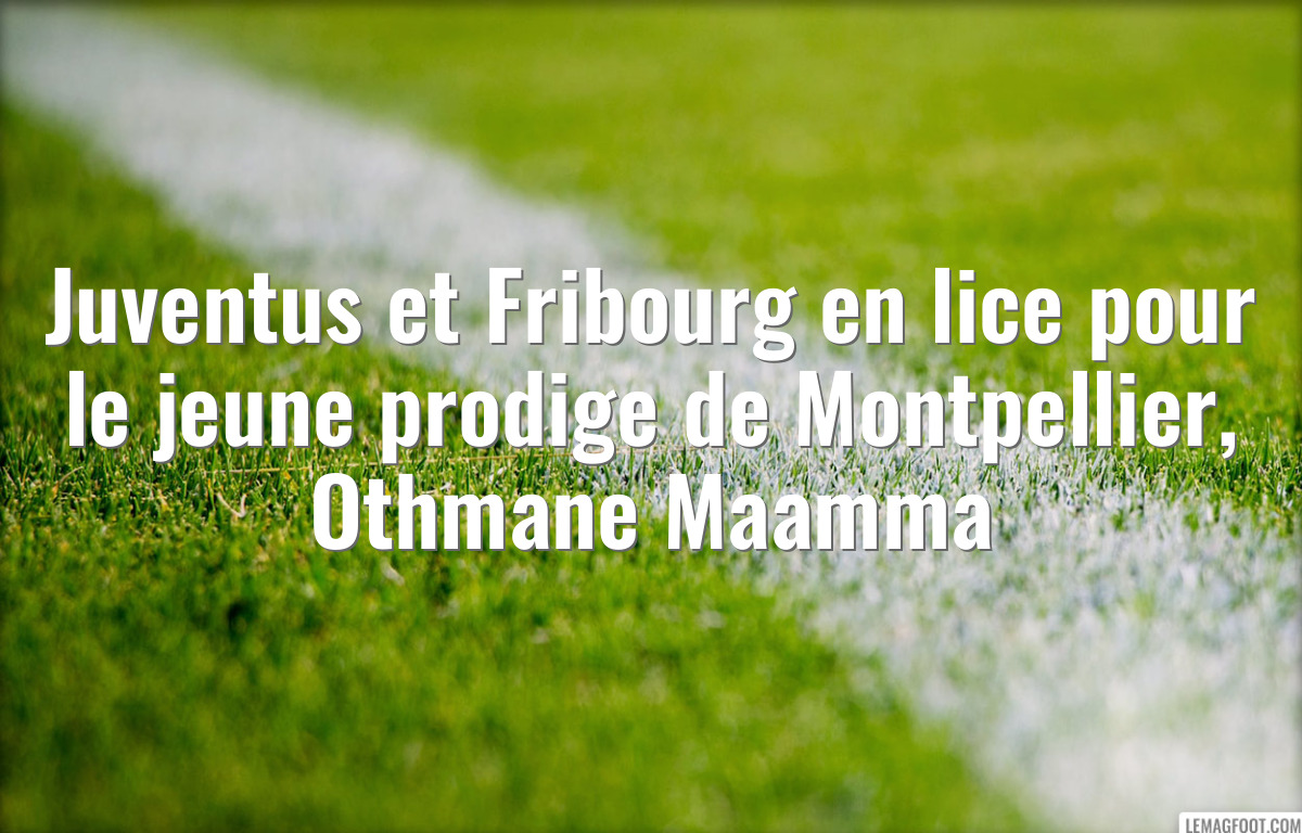 Juventus et Fribourg en lice pour le jeune prodige de Montpellier, Othmane Maamma