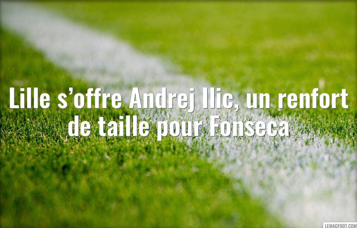 Lille s’offre Andrej Ilic, un renfort de taille pour Fonseca