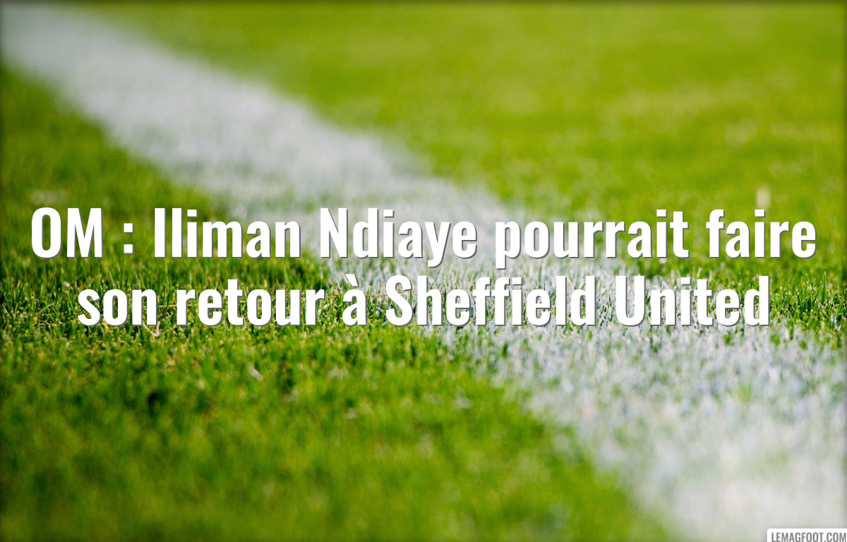 OM : Iliman Ndiaye pourrait faire son retour à Sheffield United