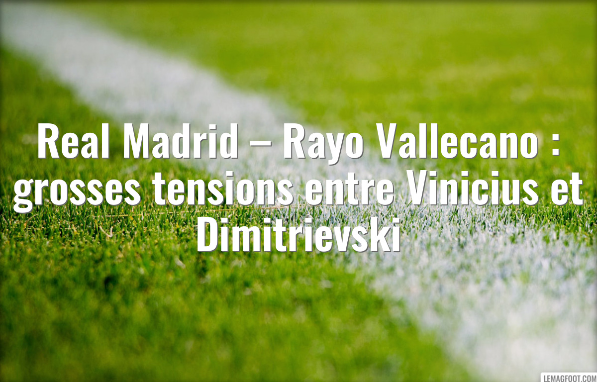 Real Madrid – Rayo Vallecano : grosses tensions entre Vinicius et Dimitrievski