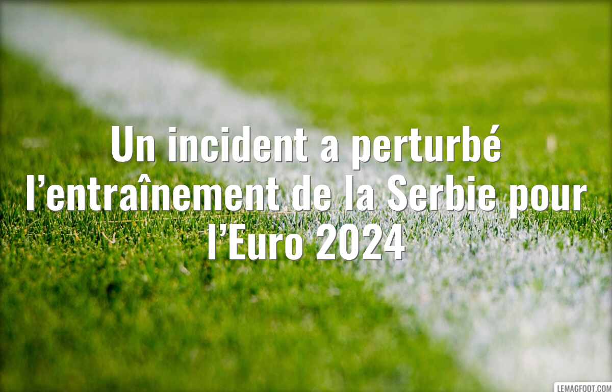 Un incident a perturbé l’entraînement de la Serbie pour l’Euro 2024