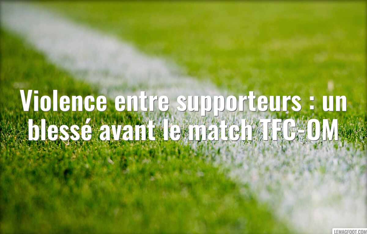 Violence entre supporteurs : un blessé avant le match TFC-OM